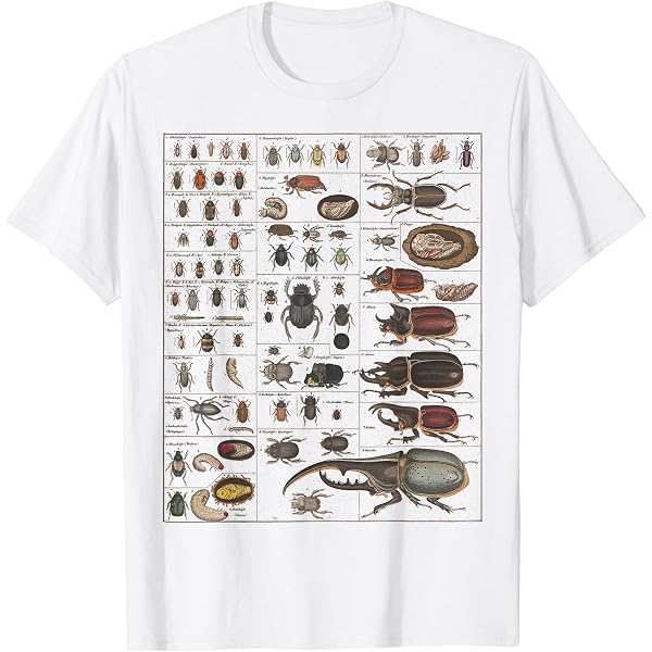 Amazon.co.jp: COALTAR OF THE DEEPERS 虫 Tシャツ A Lサイズ : ホビー